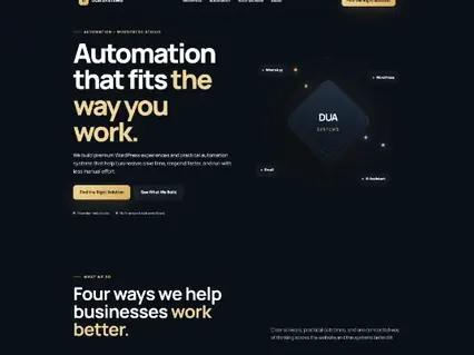 High-quality DUA SYSTEMS website crop